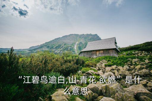 “江碧鳥逾白,山 青花 欲燃”是什么意思