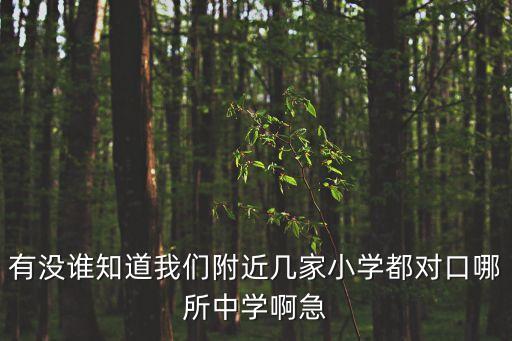 廣州朝天小學對應中學，小學對口初中怎么劃分