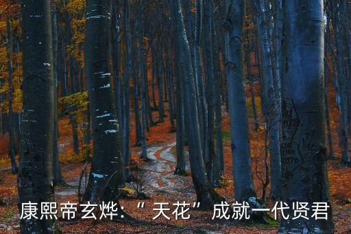 康熙帝玄燁:“ 天花”成就一代賢君