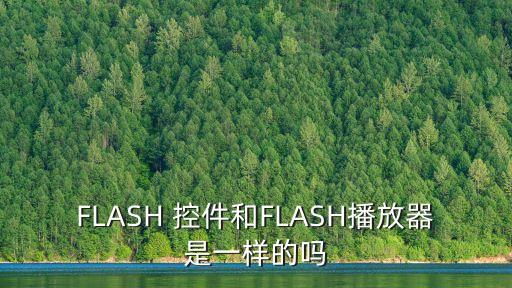 FLASH 控件和FLASH播放器是一樣的嗎