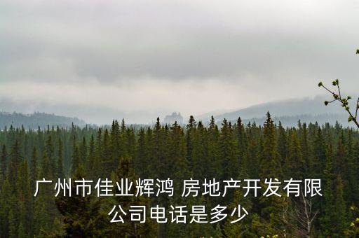  廣州市佳業輝鴻 房地產開發有限 公司電話是多少