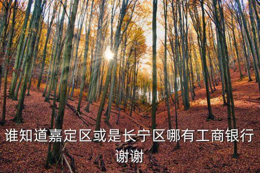 誰知道嘉定區(qū)或是長寧區(qū)哪有工商銀行謝謝