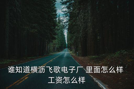 誰知道橫瀝飛歌電子廠 里面怎么樣 工資怎么樣