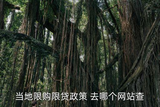 廣州房產限購資格查詢，購房資格是什么怎么查自己有沒有購房資格