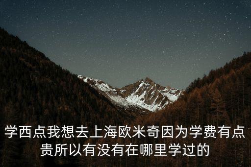 學西點我想去上海歐米奇因為學費有點貴所以有沒有在哪里學過的