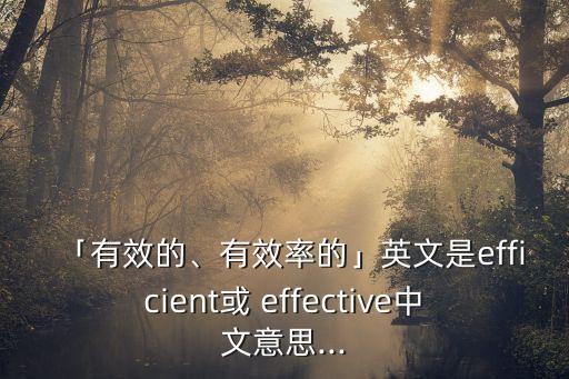 「有效的、有效率的」英文是efficient或 effective中文意思...