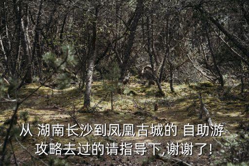 湖南旅游攻略自助游,求助湖南張家界自助游攻略?跪求廣州到鳳凰古城游記