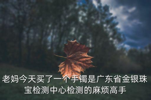 老媽今天買了一個手鐲是廣東省金銀珠寶檢測中心檢測的麻煩高手
