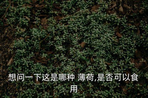 想問一下這是哪種 薄荷,是否可以食用