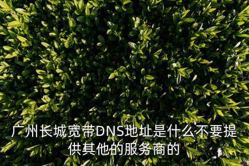 廣州長城寬帶DNS地址是什么不要提供其他的服務商的