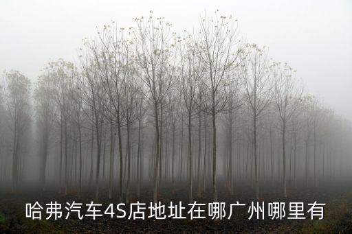 廣州哈佛維修保養(yǎng)店，哈弗汽車4S店地址在哪廣州哪里有