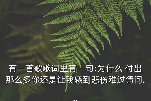 為什么付出那么多
