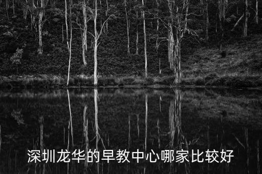 深圳龍華歡樂早教，深圳龍華哪里早教中心比較好