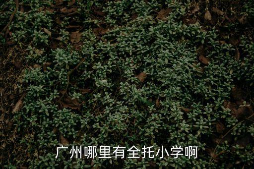 廣州全托式小學(xué)，廣州哪里有可以全托的小學(xué)最好學(xué)費(fèi)不要太貴