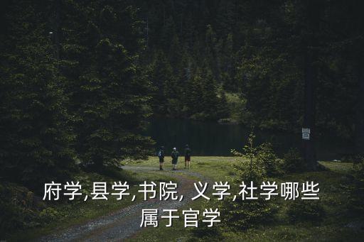 府學,縣學,書院, 義學,社學哪些屬于官學