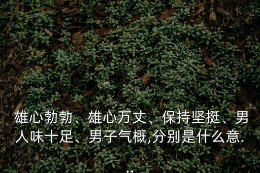  雄心勃勃、雄心萬丈、保持堅挺、男人味十足、男子氣概,分別是什么意...