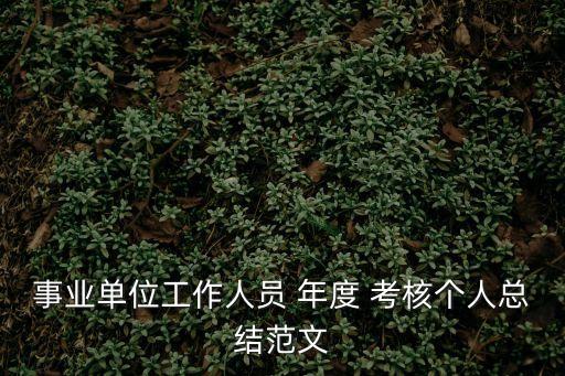 年度考核總結,教師年度考核總結個人范文