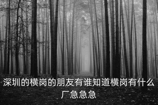 深圳橫崗輪胎，深圳輪胎銷售公司