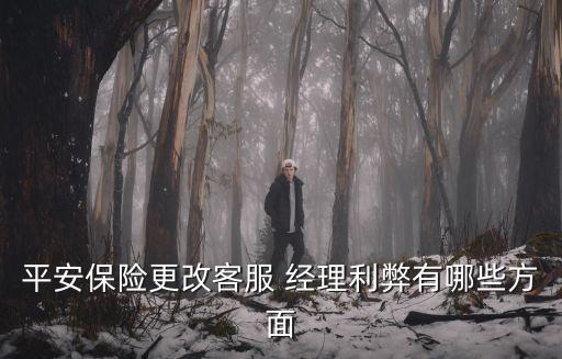保險客戶經理,中國平安人壽保險客戶經理