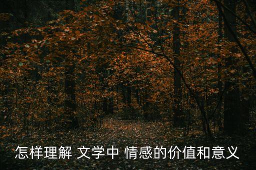 怎樣理解 文學中 情感的價值和意義