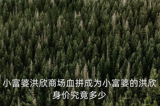 小富婆洪欣商場血拼成為小富婆的洪欣身價究竟多少