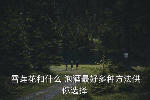  雪蓮花和什么 泡酒最好多種方法供你選擇