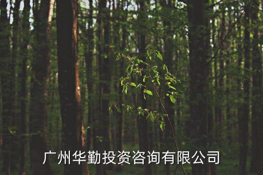 廣州華勤投資咨詢有限公司