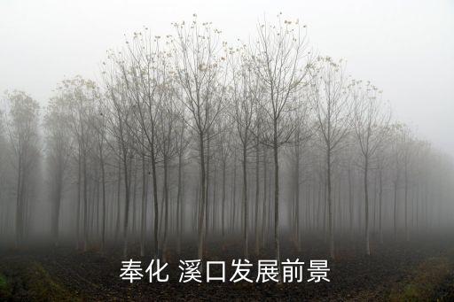 奉化 溪口發展前景
