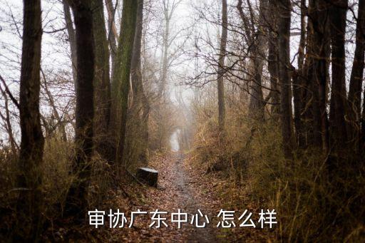 審協廣東中心 怎么樣