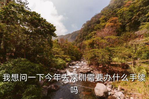 怎么去深圳要什么證件，我想問一下今年去深圳需要辦什么手續嗎