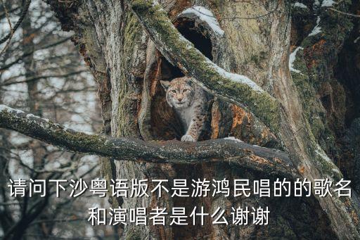 請(qǐng)問下沙粵語(yǔ)版不是游鴻民唱的的歌名和演唱者是什么謝謝
