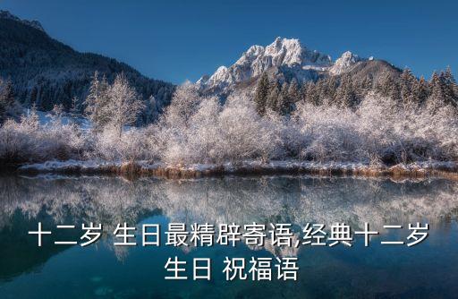 十二歲 生日最精辟寄語,經典十二歲 生日 祝福語
