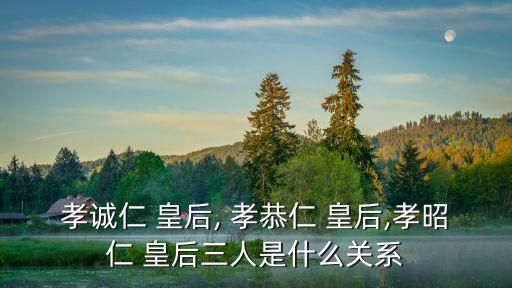 孝恭仁皇后,仁孝和小昭下葬后第二次葬禮