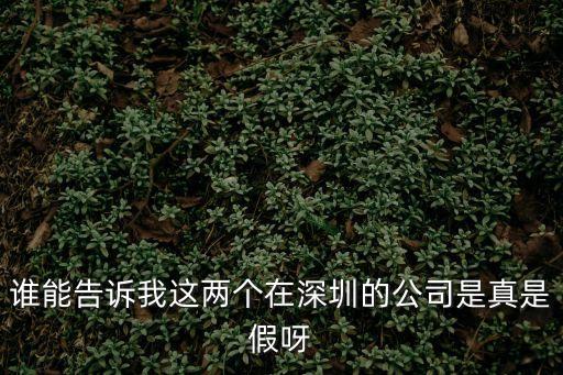 誰能告訴我這兩個在深圳的公司是真是假呀