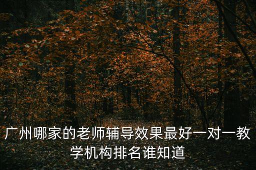 廣州哪家的老師輔導(dǎo)效果最好一對(duì)一教學(xué)機(jī)構(gòu)排名誰(shuí)知道