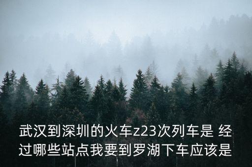 武漢到深圳的火車z23次列車是 經過哪些站點我要到羅湖下車應該是