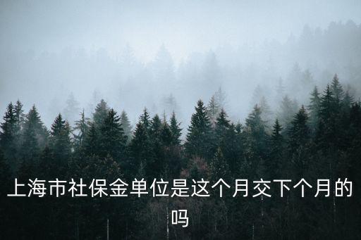 上海市社保是當(dāng)月交當(dāng)月的嗎，上海市社保金單位是這個月交下個月的嗎