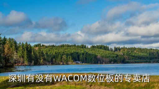 深圳有沒有WACOM數位板的專賣店