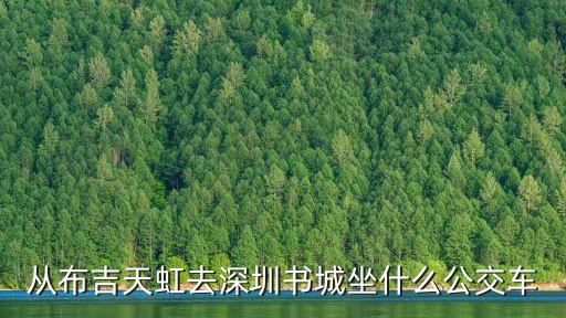 布吉天虹到深圳圖書館，從布吉天虹做什么公交車去深圳圖書館