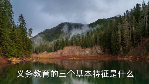 義務(wù)教育的特點,小學教育和義務(wù)教育的特點