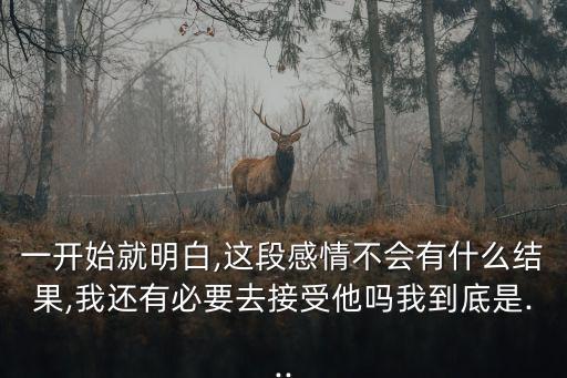 一開始就明白,這段感情不會有什么結(jié)果,我還有必要去接受他嗎我到底是...