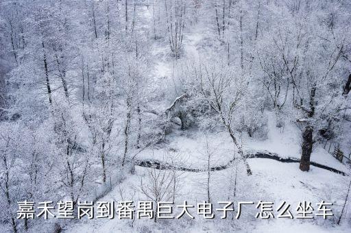 廣州嘉禾望崗的大型廠，廣州白云區嘉禾望崗工業三路38號德匯望崗科技園有服裝廠嗎