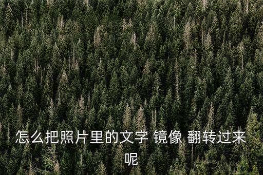 圖片鏡像翻轉(zhuǎn),手機(jī)圖片文字鏡像翻轉(zhuǎn)怎么弄?