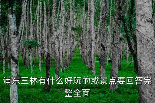 浦東三林有什么好玩的或景點(diǎn)要回答完整全面