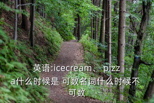 pizza可數嗎,some pizza可數嗎