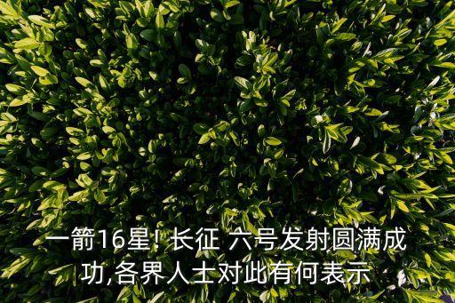 一箭16星! 長征 六號發射圓滿成功,各界人士對此有何表示