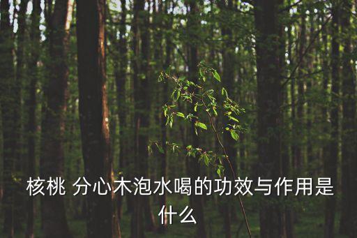  核桃 分心木泡水喝的功效與作用是什么