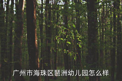 廣州市海珠區(qū)琶洲幼兒園怎么樣