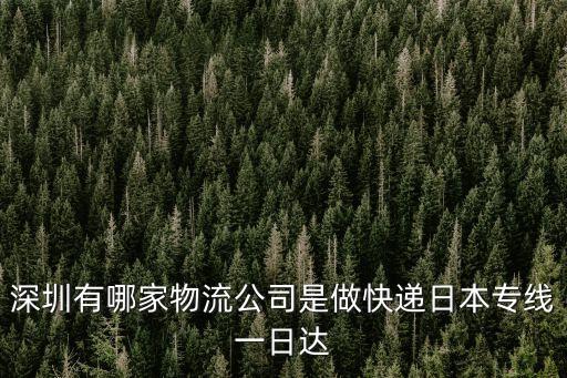 深圳有哪家物流公司是做快遞日本專線一日達