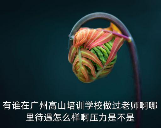 有誰在廣州高山培訓學校做過老師啊哪里待遇怎么樣啊壓力是不是